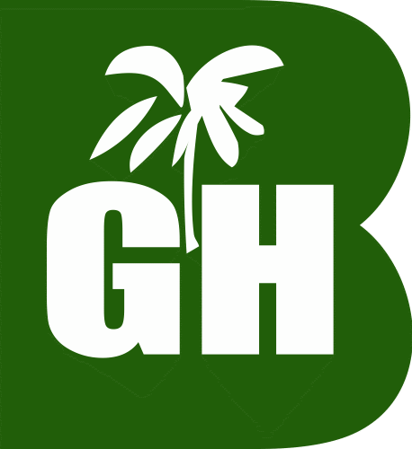 Begeha Sukses Internasional